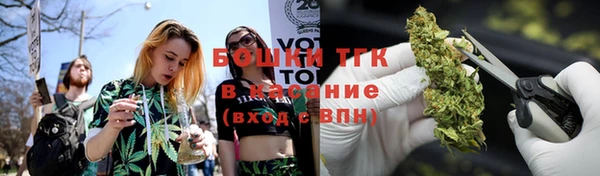 стафф Пересвет