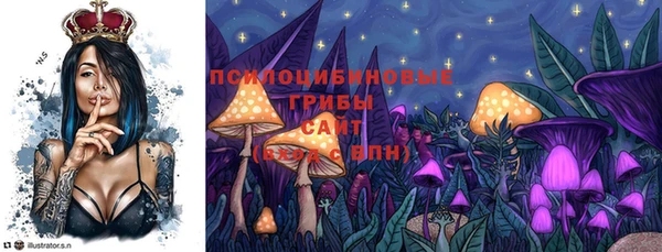 стафф Пересвет
