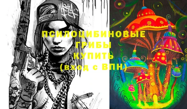 тгк Галич