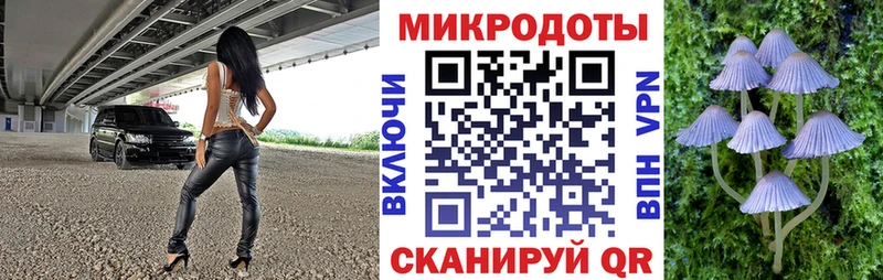 Псилоцибиновые грибы Psilocybe  наркошоп  Людиново 